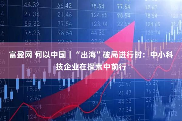 富盈网 何以中国｜“出海”破局进行时：中小科技企业在探索中前行
