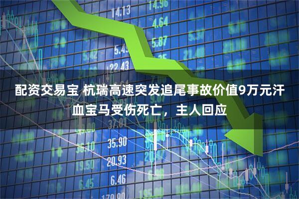 配资交易宝 杭瑞高速突发追尾事故价值9万元汗血宝马受伤死亡，主人回应