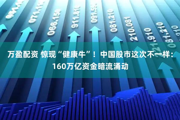 万盈配资 惊现“健康牛”！中国股市这次不一样：160万亿资金暗流涌动