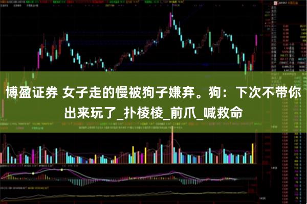 博盈证券 女子走的慢被狗子嫌弃。狗：下次不带你出来玩了_扑棱棱_前爪_喊救命