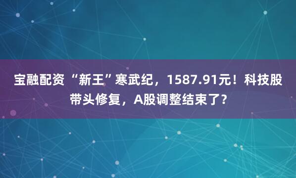 宝融配资 “新王”寒武纪，1587.91元！科技股带头修复，A股调整结束了？