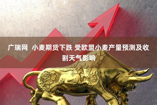 广瑞网  小麦期货下跌 受欧盟小麦产量预测及收割天气影响